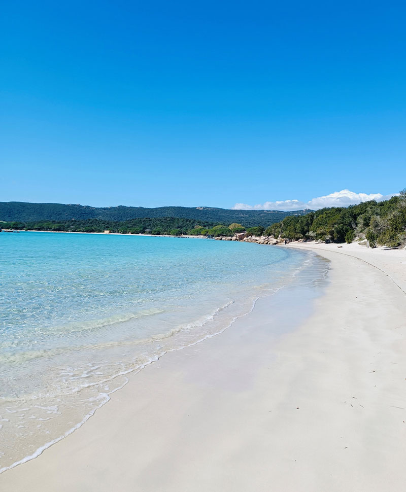 plage maquis Corse